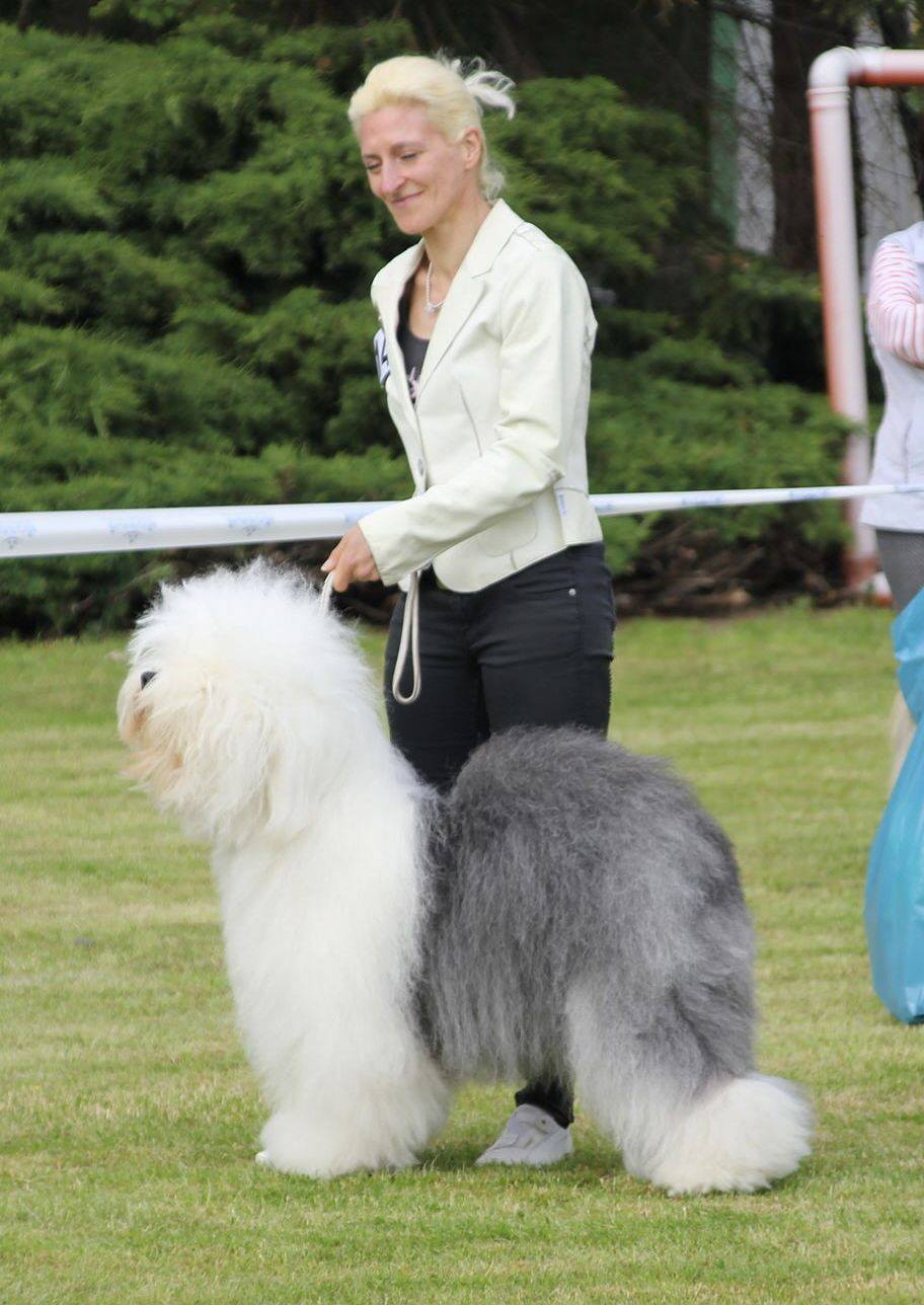Bobtail Scully